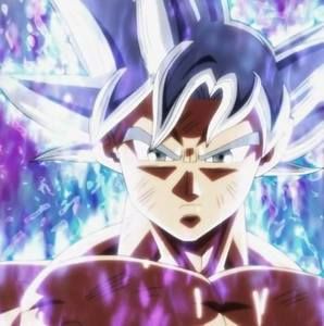 Meet your Posher, Fredy